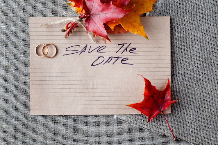 Online Save-the-Date Anleitungen für eine unvergessliche Hochzeitseinladung